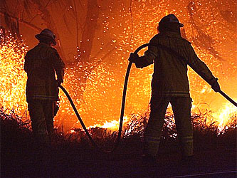 В Калифорнии житель штата обвиняется в поджоге лесов