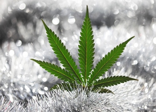 В Колорадо лицензируют  марихуаны