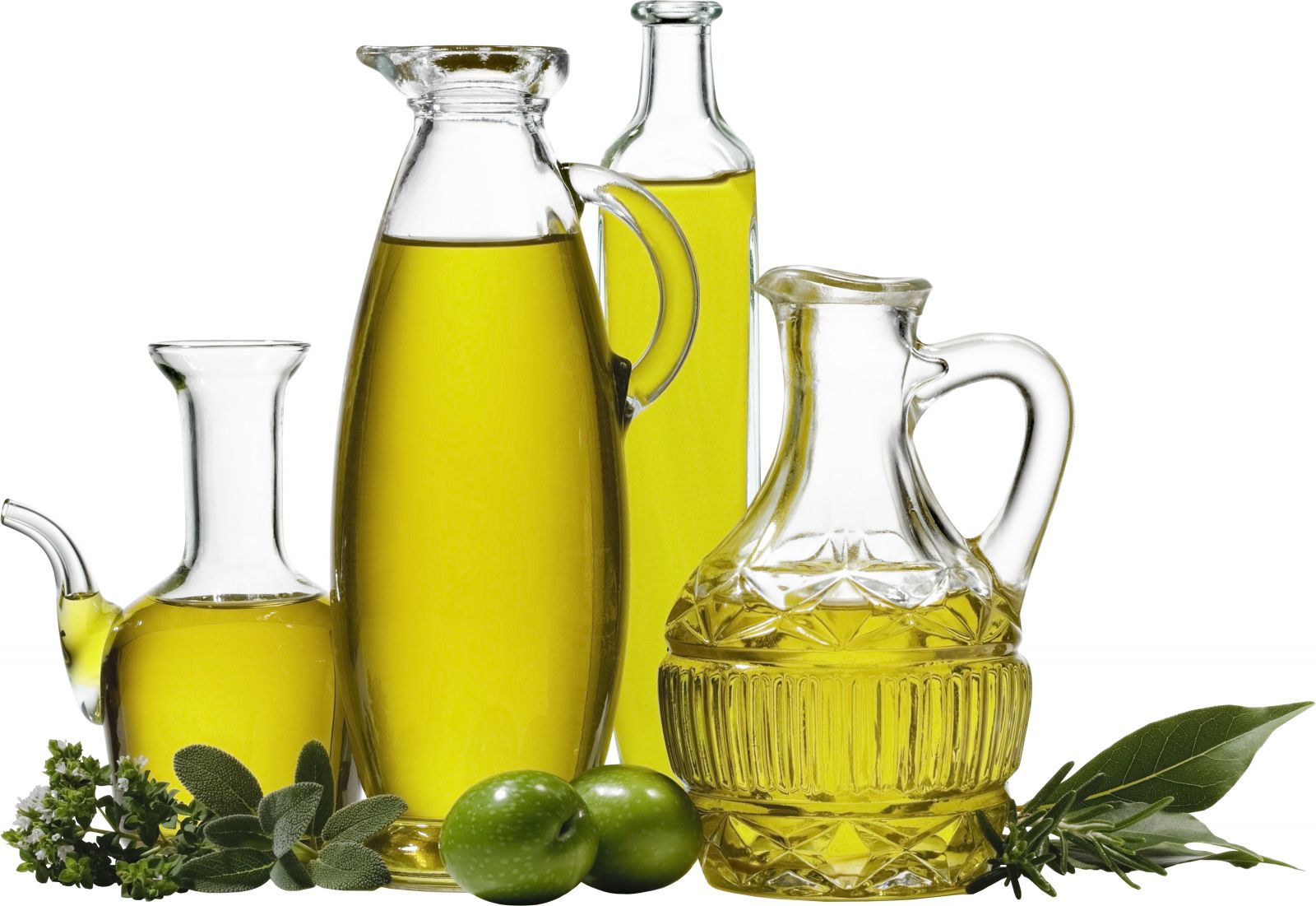 В США бороться с ожирением будут оливковым маслом