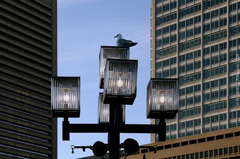 В США уличные фонари будут отслеживать стрельбу