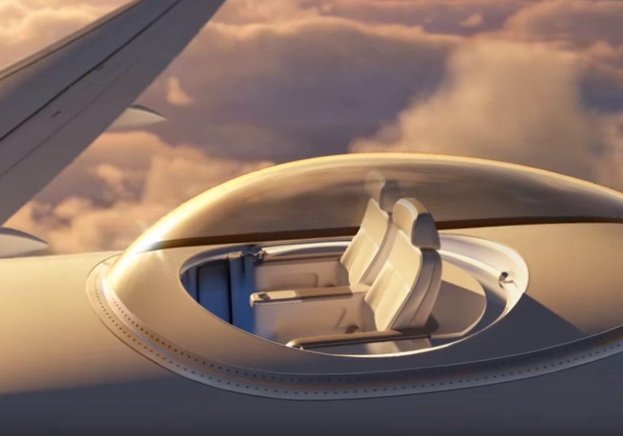 Американская компания SkyDeck предлагает прокатиться верхом на самолете