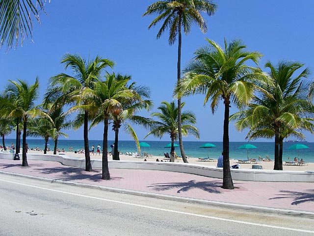 Удивительный Майами