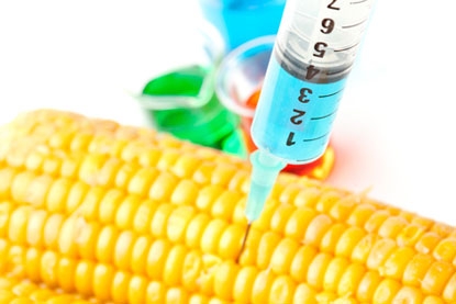 США предлагает Европе выращивать генномодифицированную продукцию