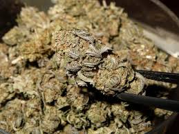 В Джорджии ограничили использование марихуаны в медцелях